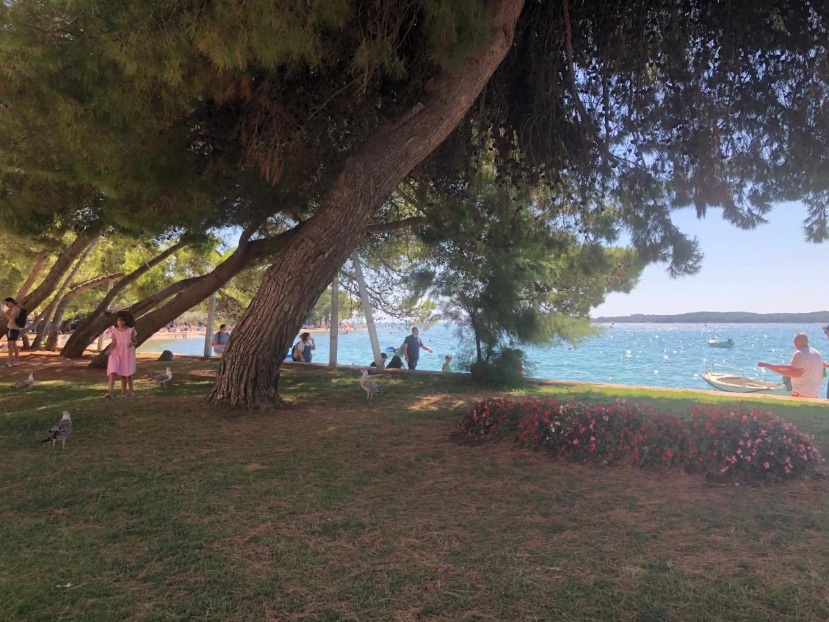 Istrian Stone House In The Heart Of The Beautiful Fishing Village Fazana - Only Few Steps From The Sea And The Wonderful Beach - Incl Plasma-Quad-Plus-Filter Against C O V I D Fažana Exterior foto